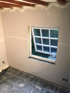 wall and window mold repair